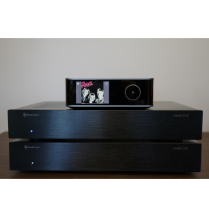 Model 2220 x 2 Monoblock WiiM Combo